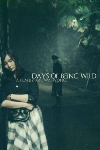 Days of Being Wild