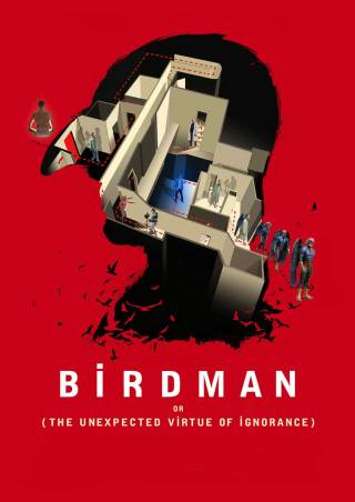 Birdman or (The Unexpected Virtue of Ignorance)