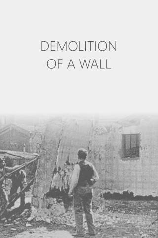 Demolition of a Wall